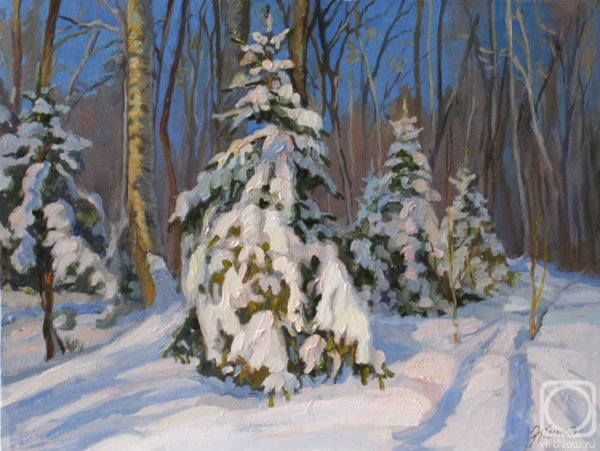 Шультце и. ф. зима. 1913