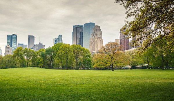 Зимний пейзаж с архитектурой