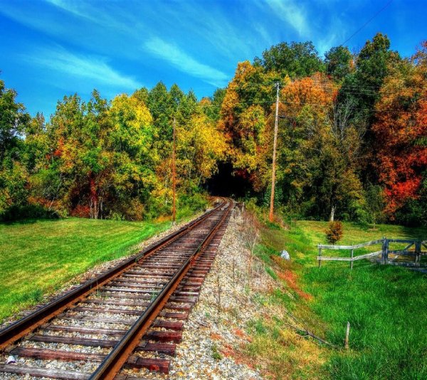 Железная дорога в лесу