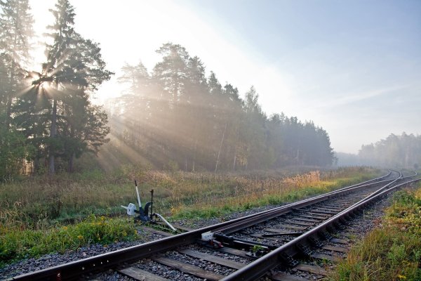 Железная дорога летом
