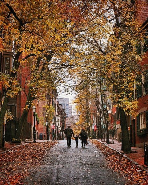 Качанов Владимир Климентьевич