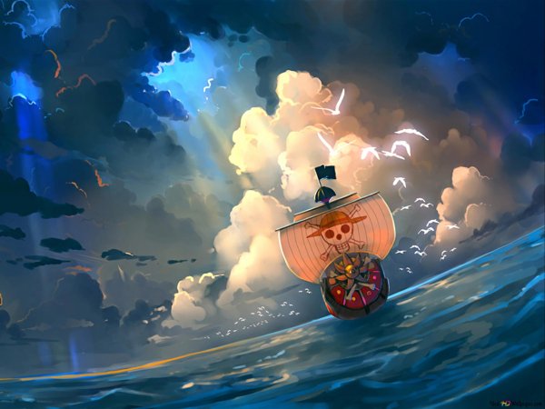 Санни Ван Пис