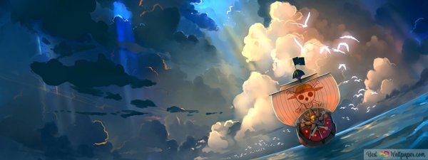 Санни Ван Пис