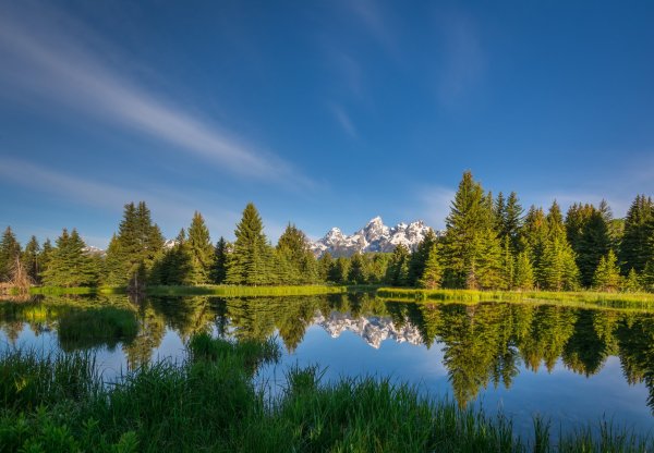 Лес река озеро