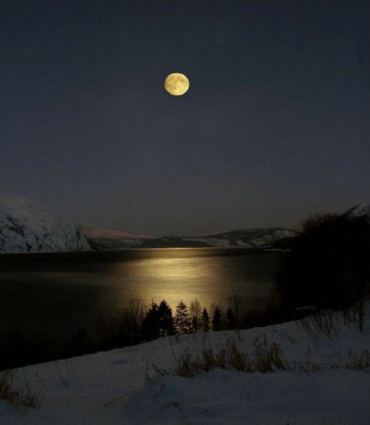 Лунная ночь