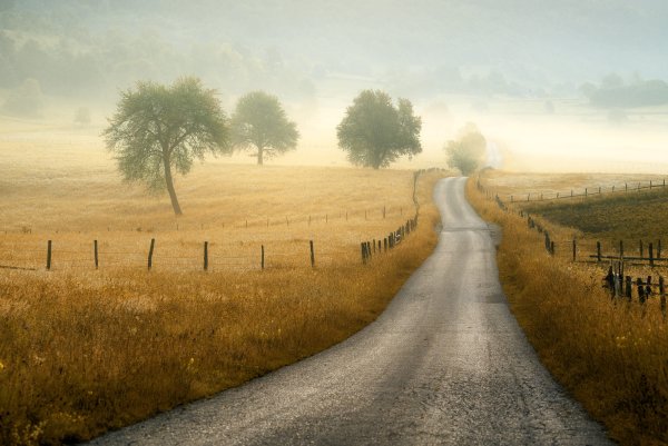 Дорога вдаль