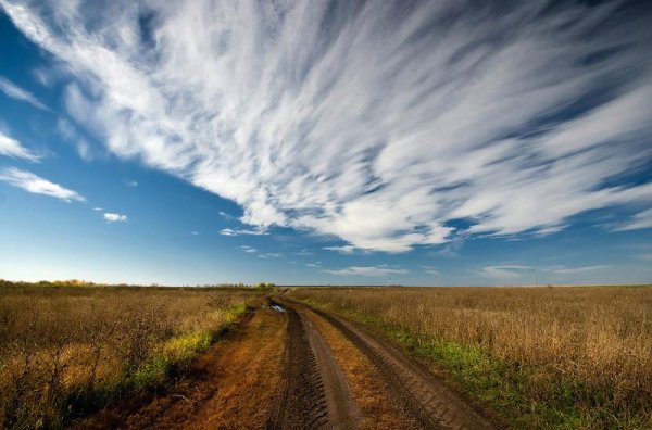 Проселочная дорога вдаль