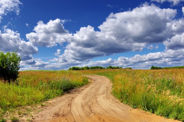 Лето Проселочная дорога