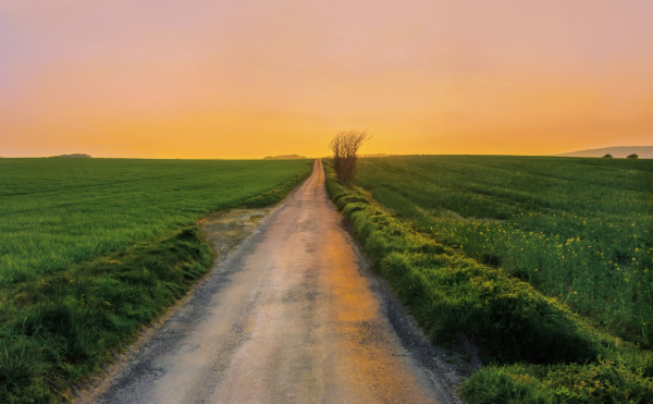 Дорога уходящая вдаль