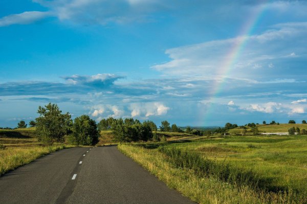 Сельская дорога