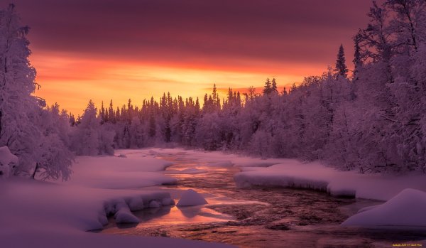 Ночная зимняя дорога