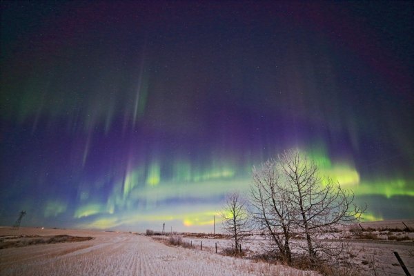 Северное сияние в лесу