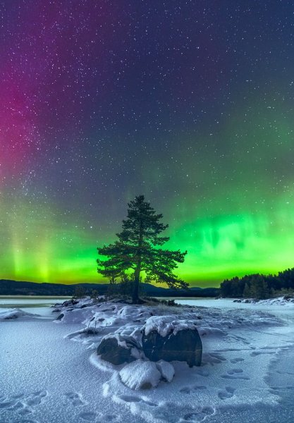 Зима Северное сияние