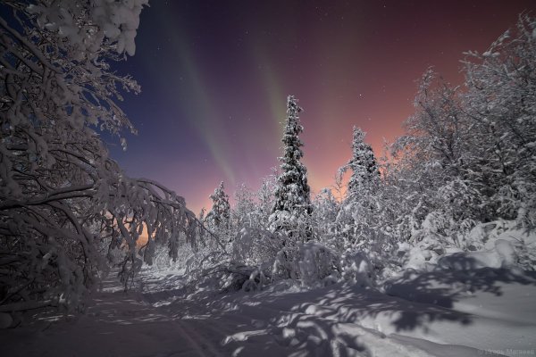 Природа Мурманской области зимой