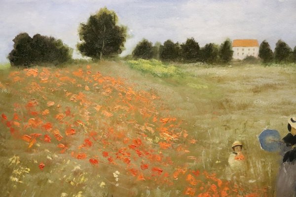 Клод Моне маки 1873