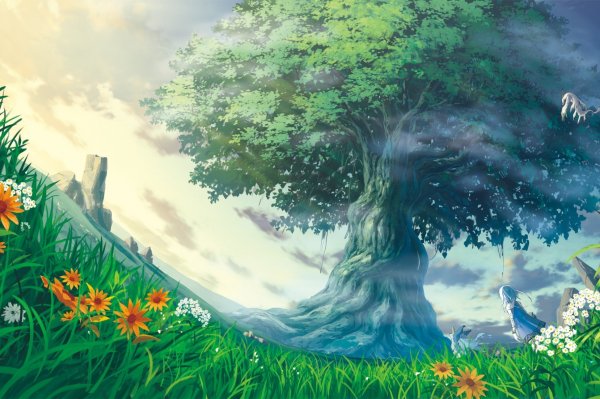 Миядзаки лес Поляна