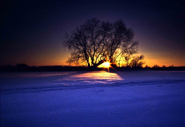 Зимний вечер пейзаж