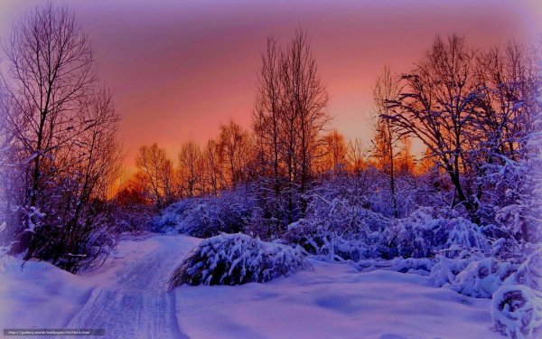 Зима. К вечеру