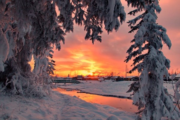 Новогодняя природа