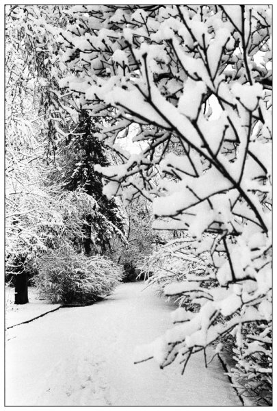 Зимний пейзаж черно белый