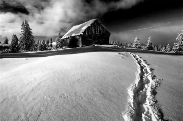 Зимний пейзаж черно белый