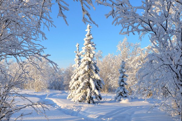 Красивые пейзажи зимы