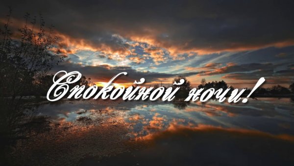 Спокойной зимней ночи