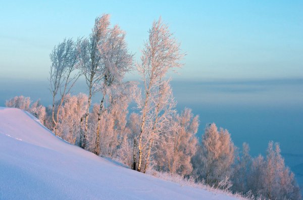 Зимнее утро