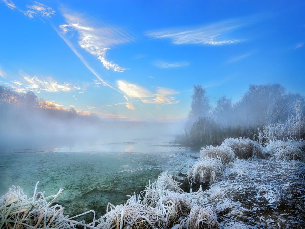 Морозное утро