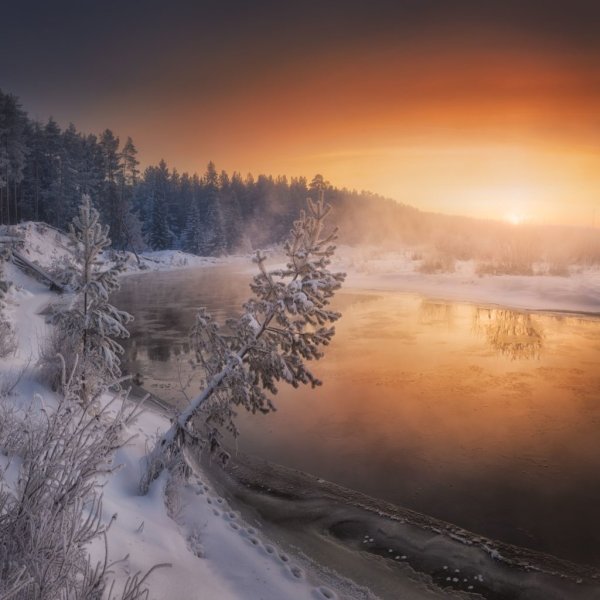 Фотоконкурс зимний пейзаж