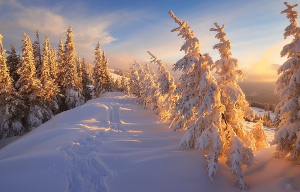 Григорьев день, Григорий – весноуказатель