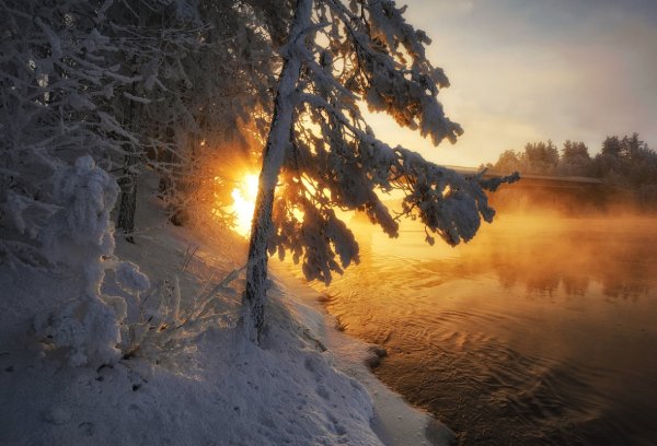 Морозное утро