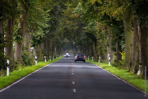 Улица уходящая в даль