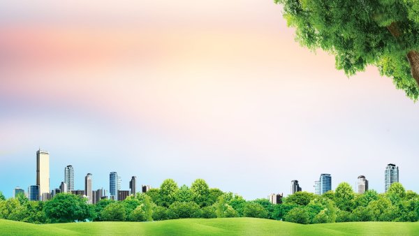 Экология пейзаж