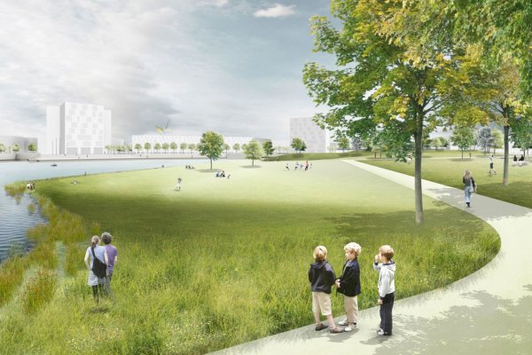 Визуализация сквера