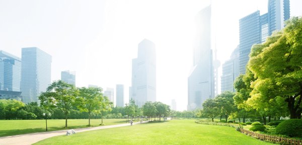 Панорама зеленого города