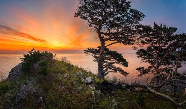 Дальний Восток Приморский край