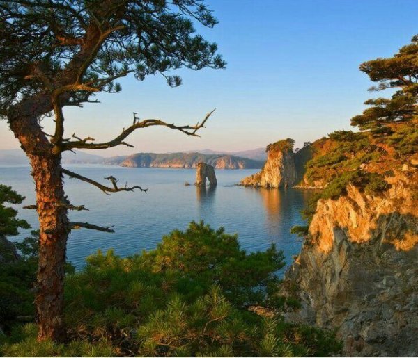 Дальневосточный морской заповедник Приморский край природа