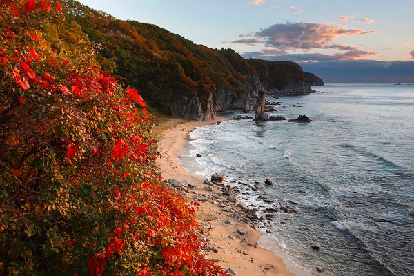 Лазовский заповедник дальнего Востока