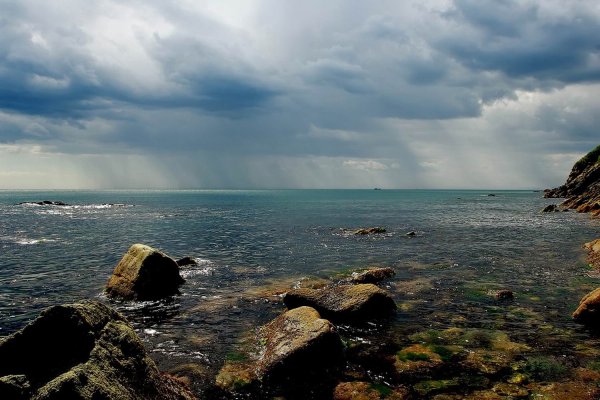 Владивосток морская природа Приморского края