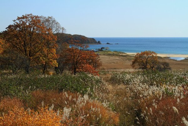 Владивостокский художник Сергей Коновалов