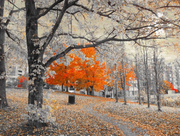 Поздняя осень в городе