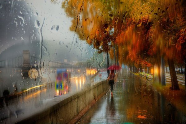 Эдуард Гордеев Петербург