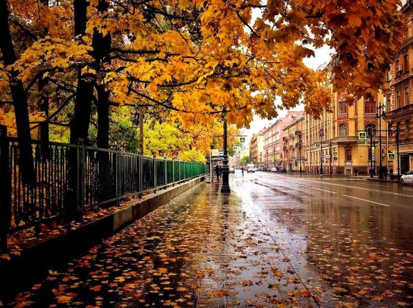 Улица Чайковского Санкт-Петербург осень