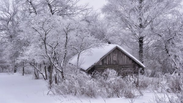 Художник Валерий Ниминущий пейзажи