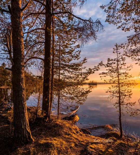Финский фотограф Asko Kuittinen