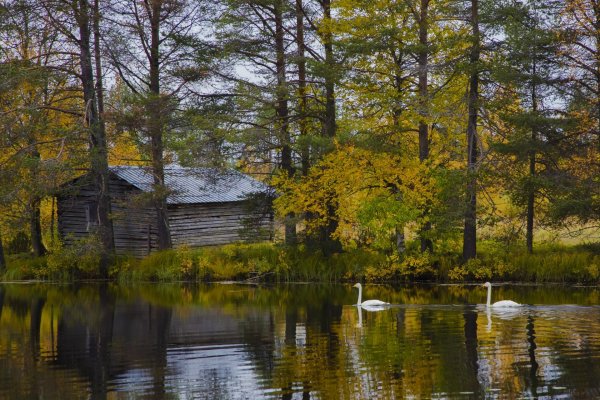 Финские озера Финляндия 1920