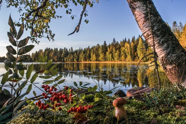 Карело-финская природа