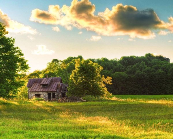 Фон деревня