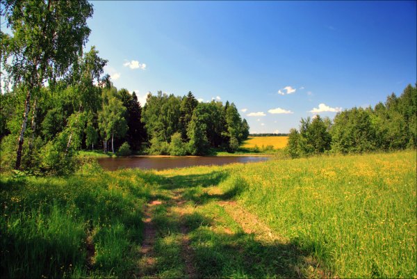 Пейзаж дача